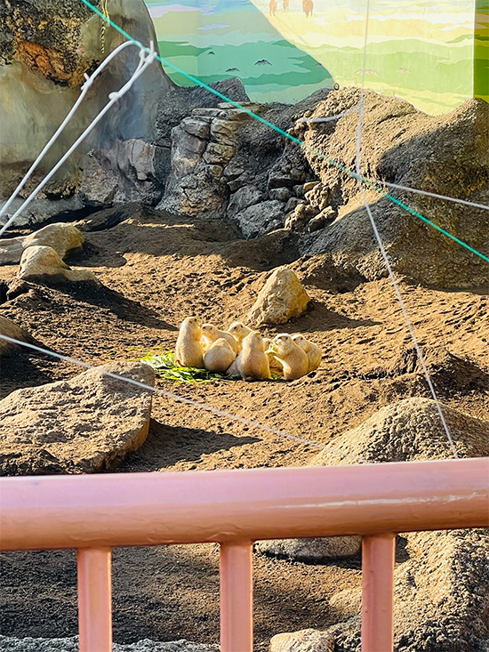 行船公園 自然動物園